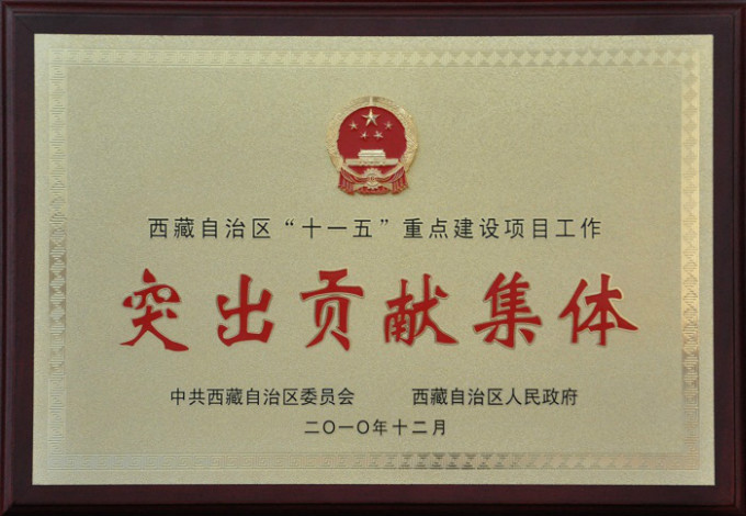 2010西藏自治區(qū)“十一五”重點建設(shè)項目工作突出貢獻集體
